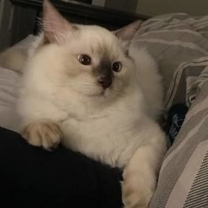 Meet your Posher, Nat